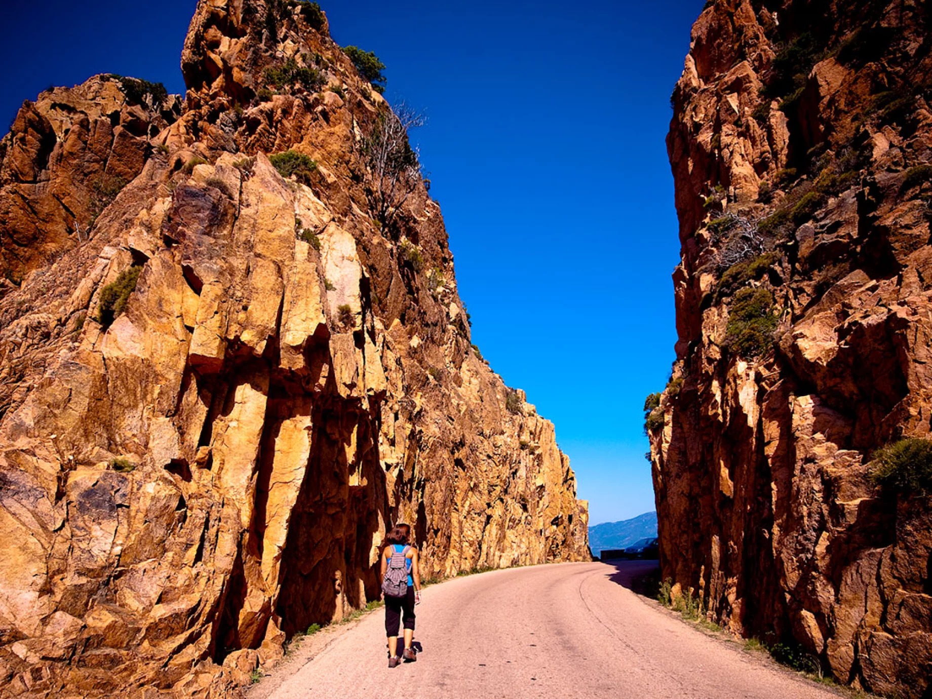 African Business Growth